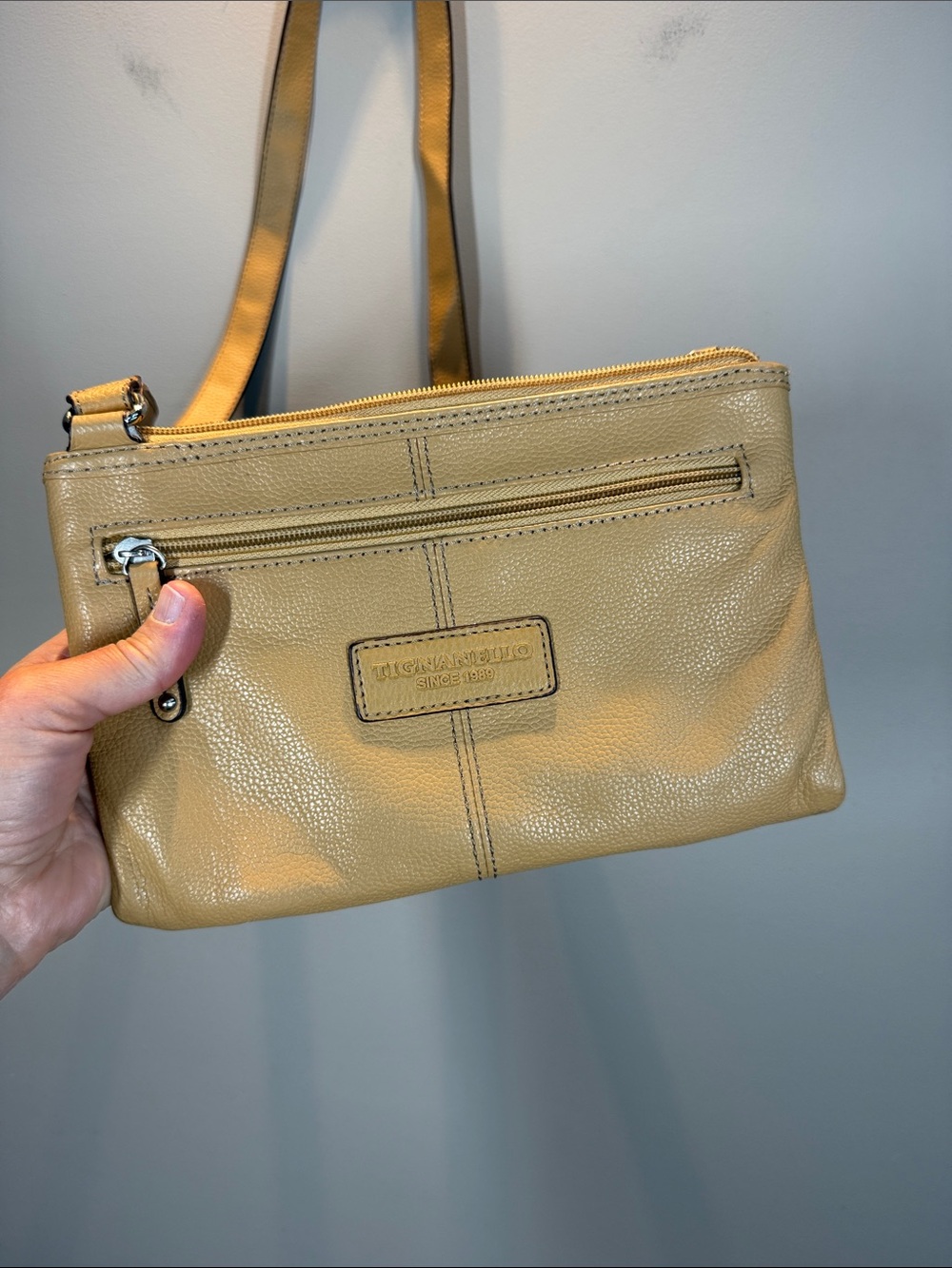 Tignanello Tan Leather Crossbody Bag